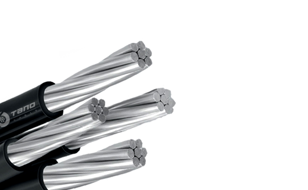 CABLE CAAI