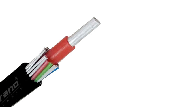CABLE CONCÉNTRICO PARA EL MERCADO DE ÁFRICA