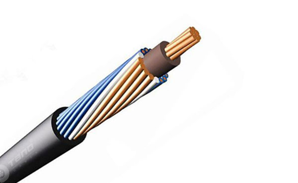 CABLE SNE